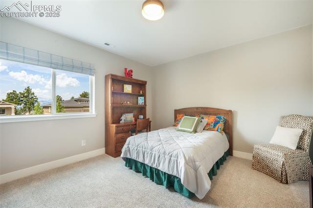 3781 Mountain Dance Drive