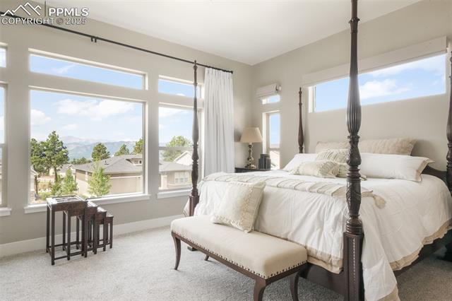 3781 Mountain Dance Drive
