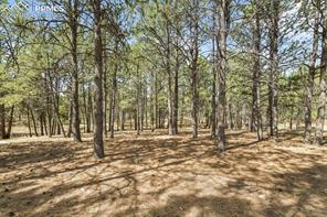 11165 Pine Meadows Road