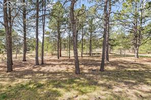 11165 Pine Meadows Road