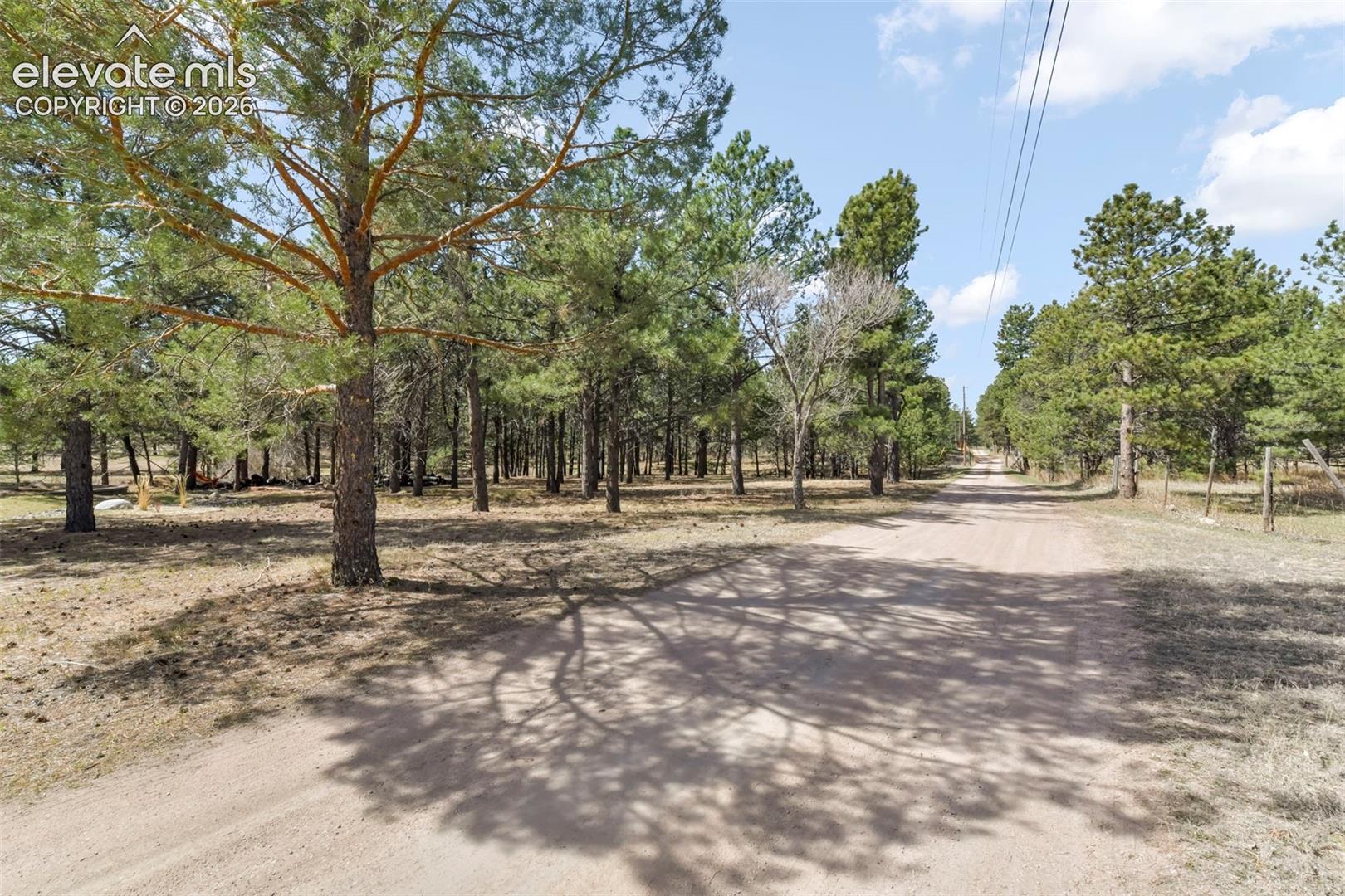 11165 Pine Meadows Road