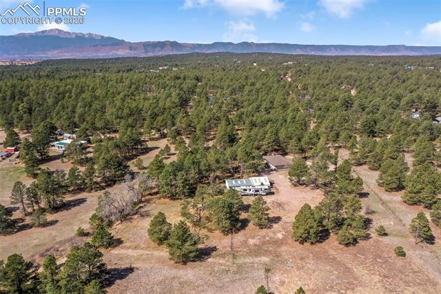 11165 Pine Meadows Road