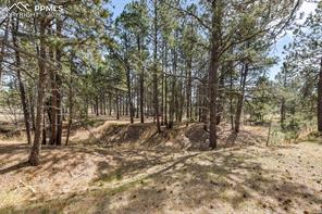 11165 Pine Meadows Road