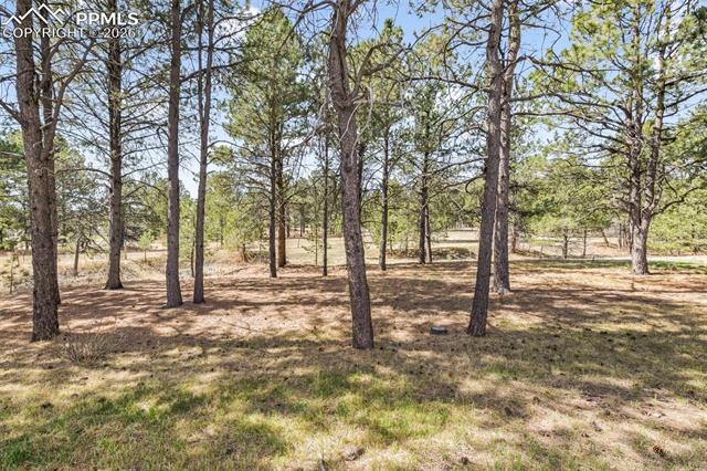 11165 Pine Meadows Road