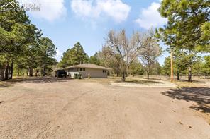 11165 Pine Meadows Road