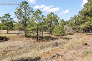 11165 Pine Meadows Road