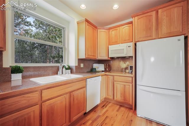 1132 Longspur Lane