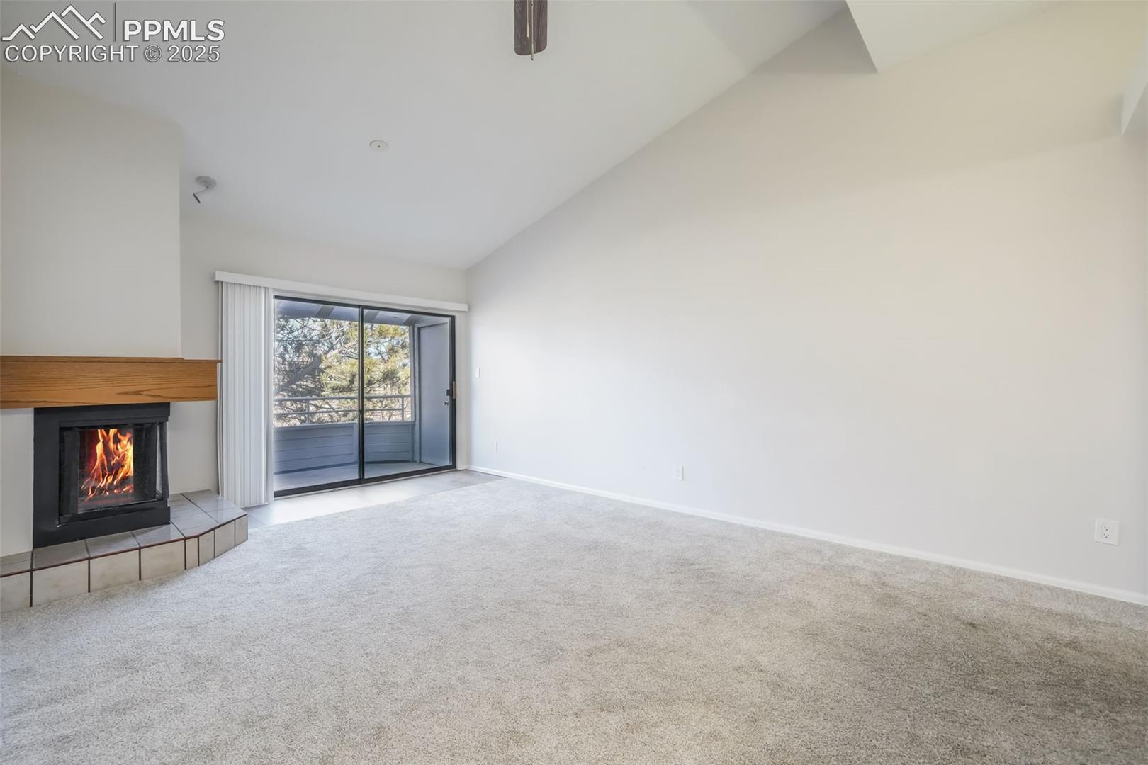 3664 Iguana Drive