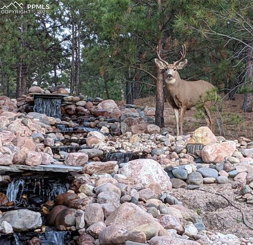 17045 Viscount Court