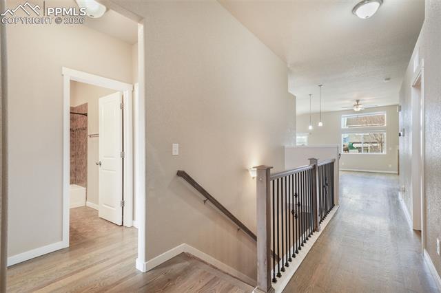 7296 Alpine Daisy Drive