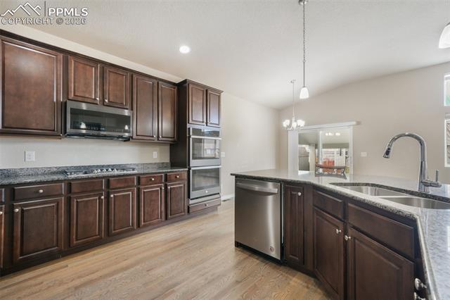 7296 Alpine Daisy Drive