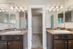 7296 Alpine Daisy Drive