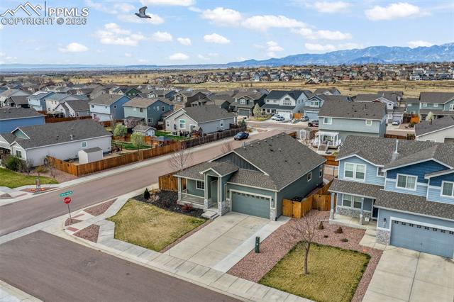 7296 Alpine Daisy Drive