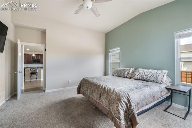 7296 Alpine Daisy Drive