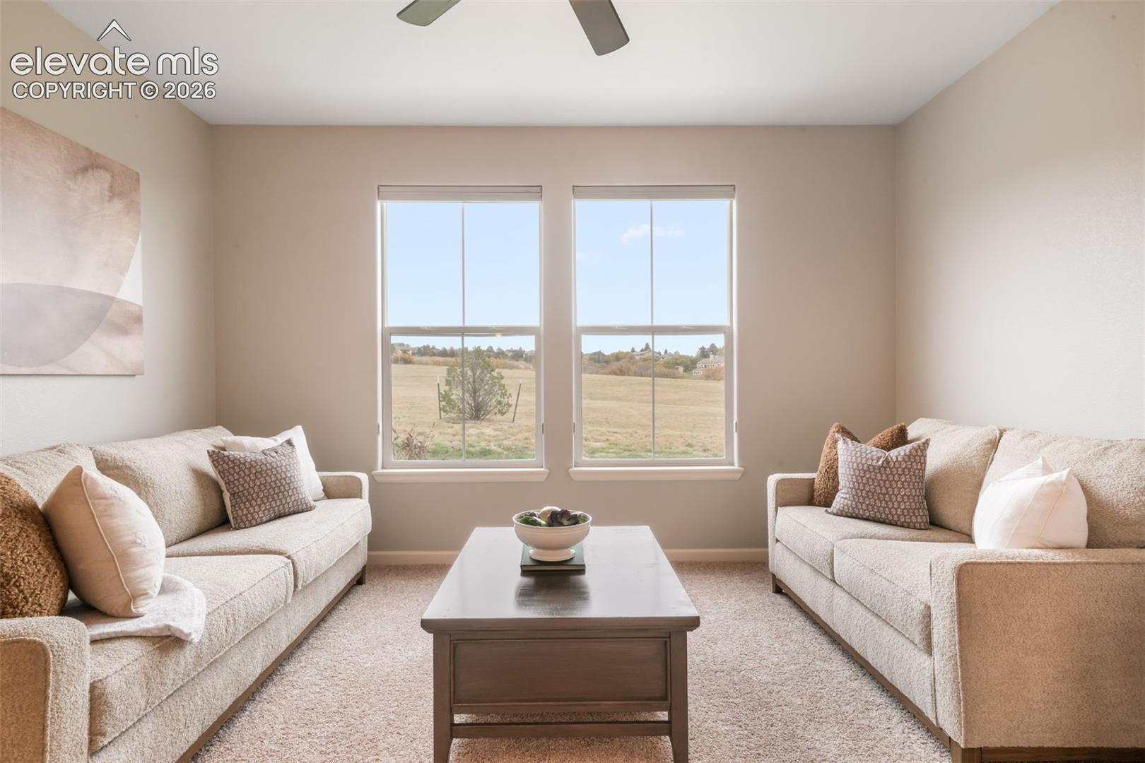 17099 Blue Mist Grove