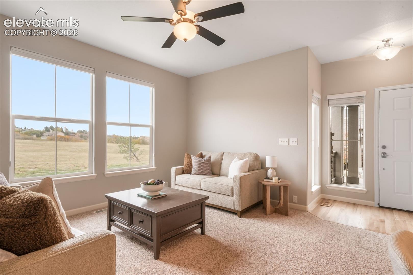 17099 Blue Mist Grove