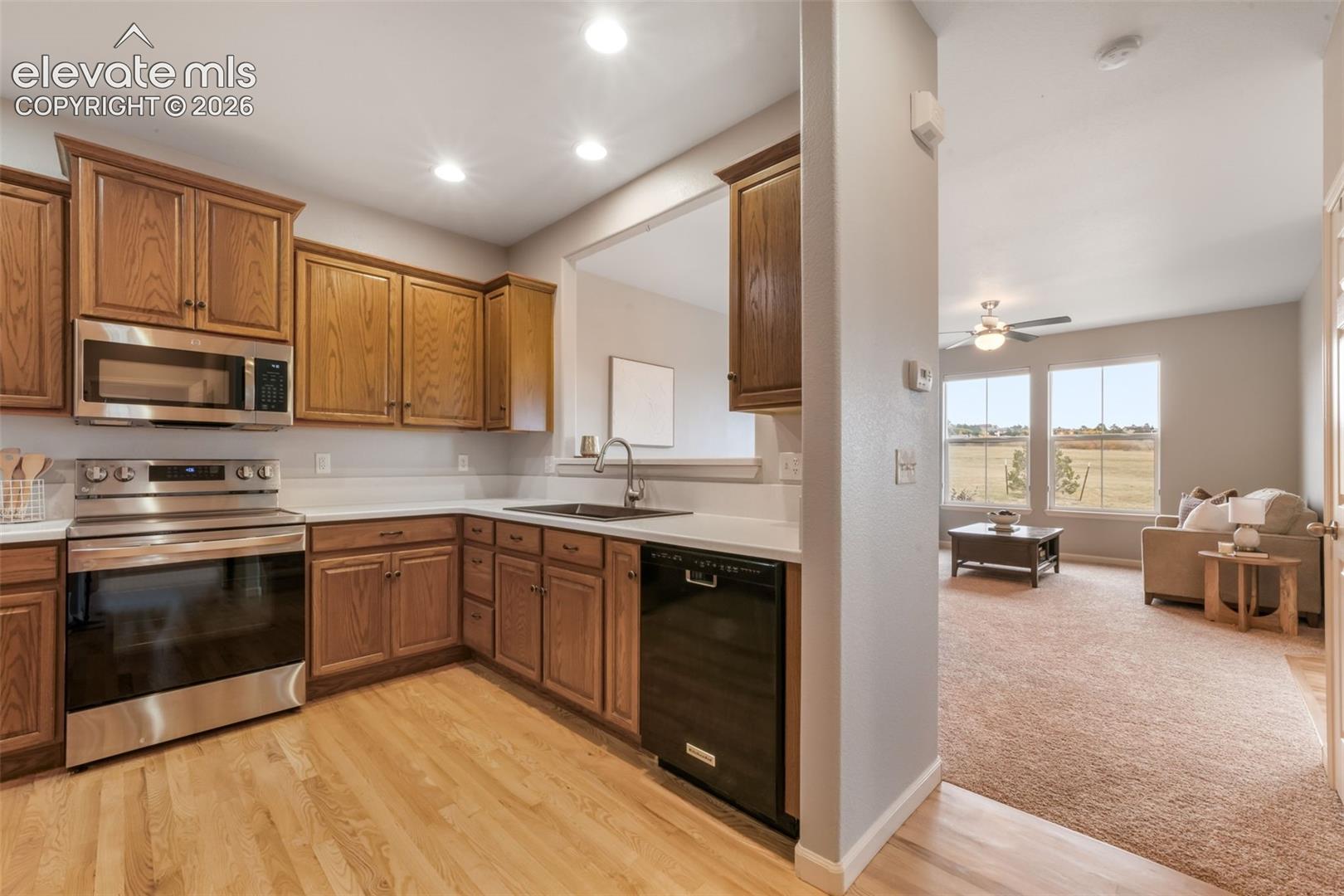 17099 Blue Mist Grove