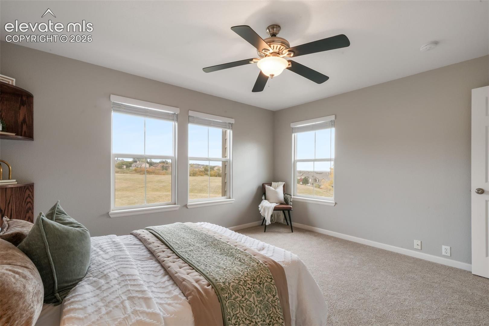 17099 Blue Mist Grove