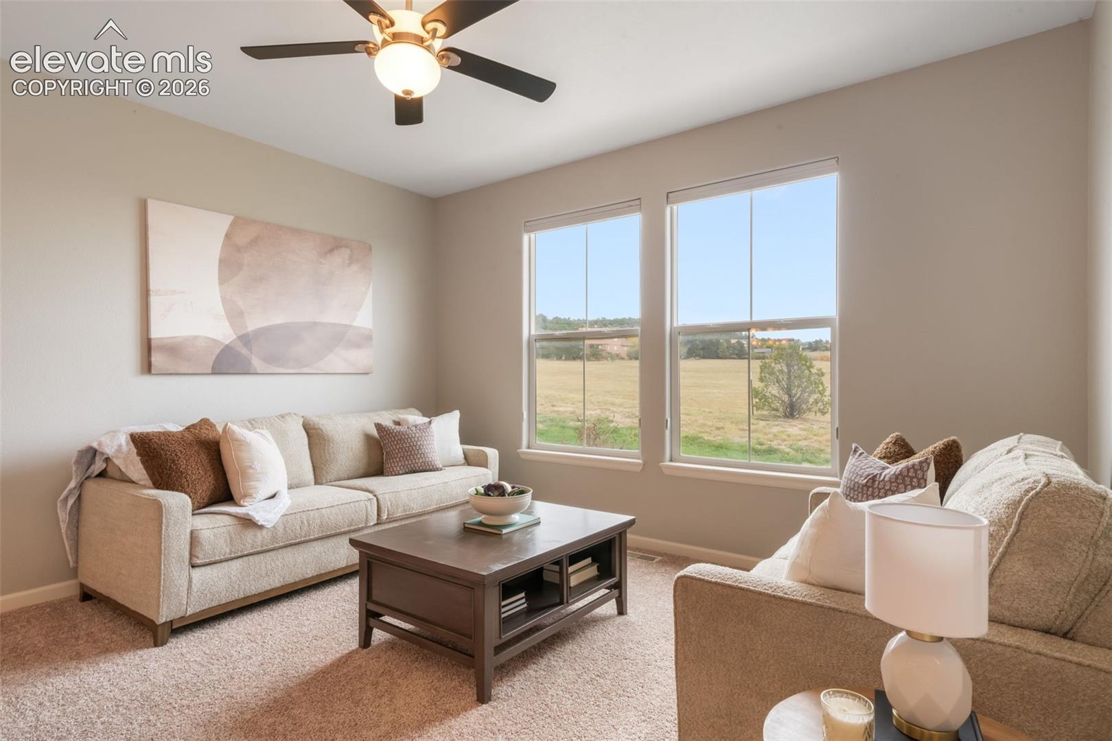 17099 Blue Mist Grove