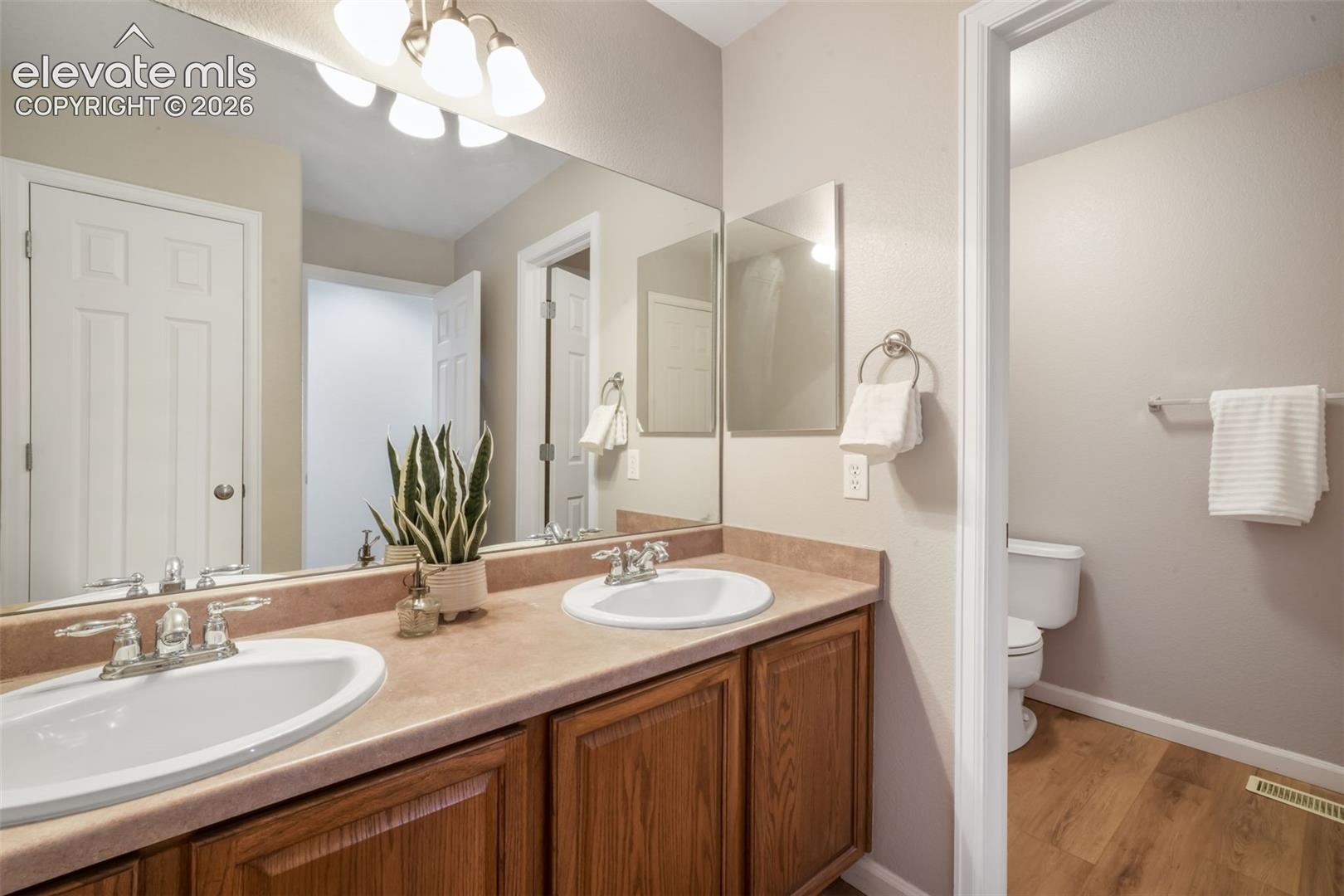 17099 Blue Mist Grove