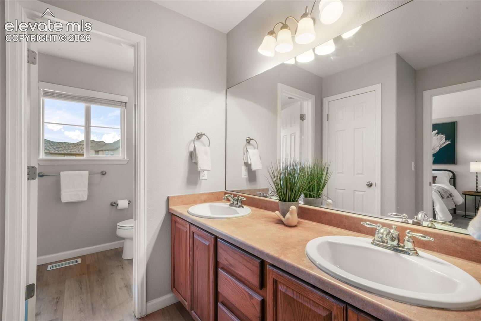 17099 Blue Mist Grove