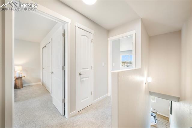 5169 Palomino Ranch Point