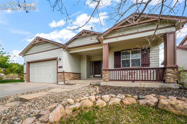 4197 Purple Plum Way