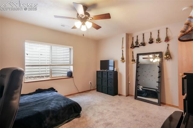 4197 Purple Plum Way