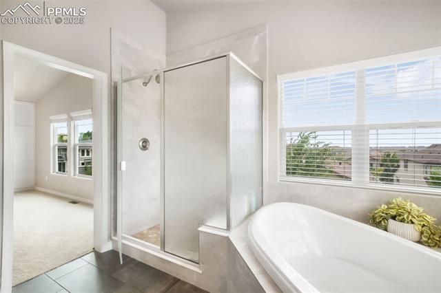 9135 Argentine Pass Trail