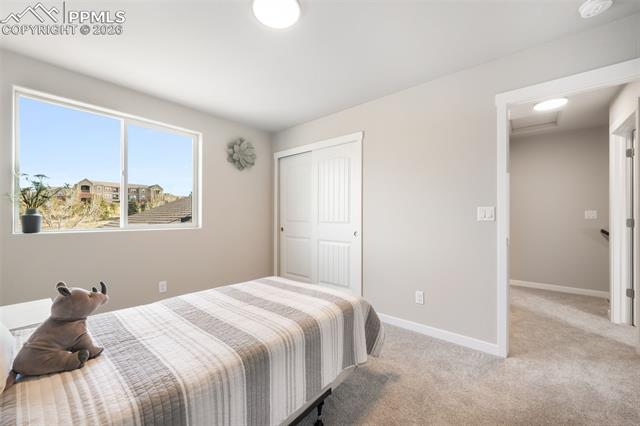 5129 Palomino Ranch Point