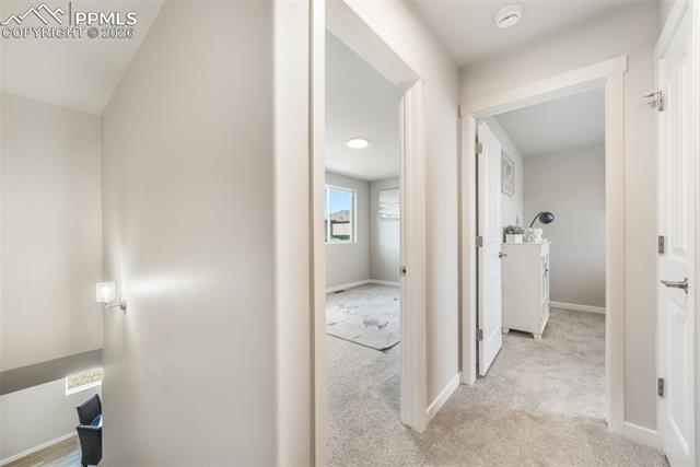 5129 Palomino Ranch Point