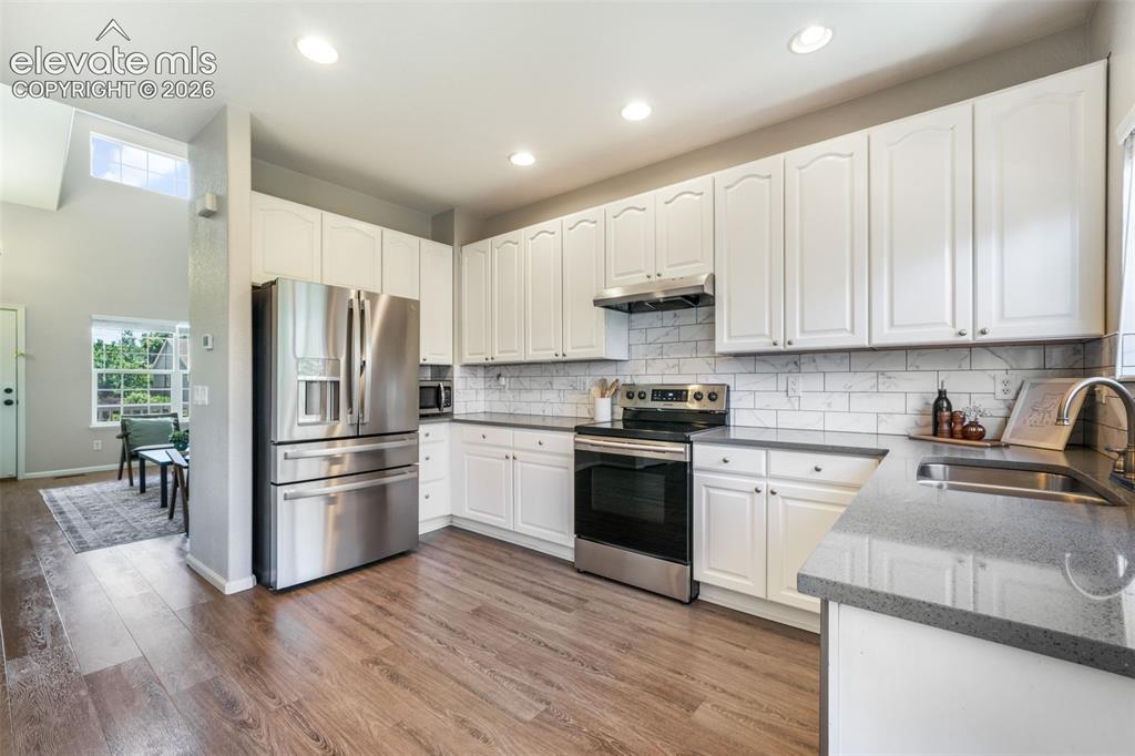 3862 Springs Ranch Drive