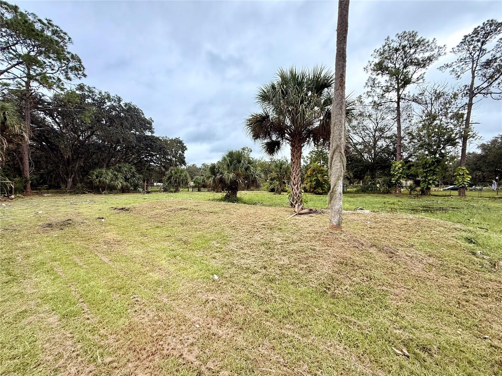 1003 SAINT CATHERINE AVE