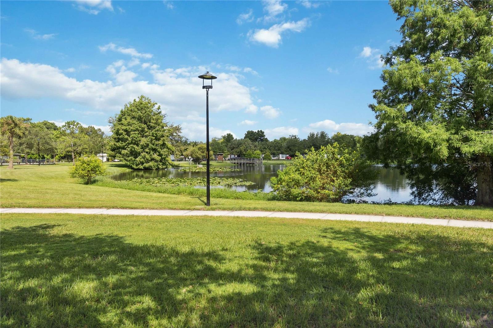 121 LAKE DOT DR