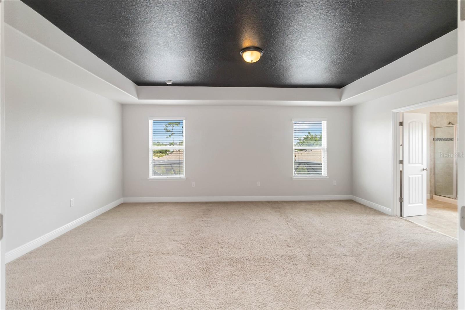 115 MYRTLEBERRY LN