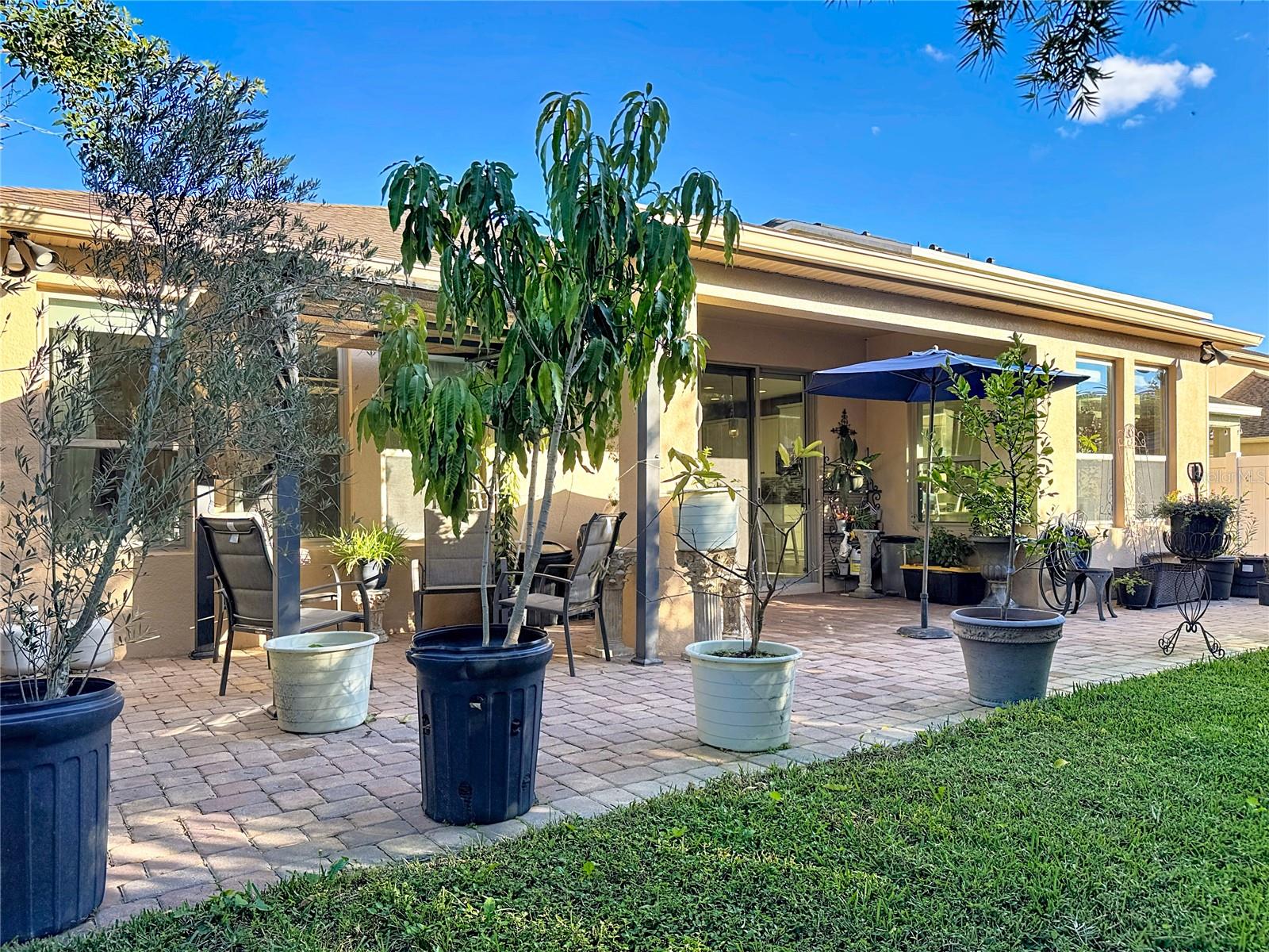 1234 FOUNTAIN COIN LOOP