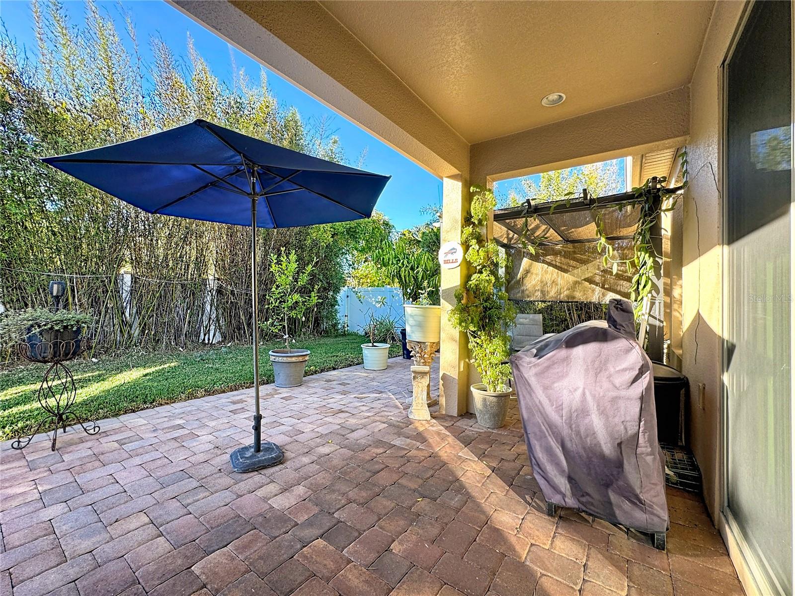 1234 FOUNTAIN COIN LOOP