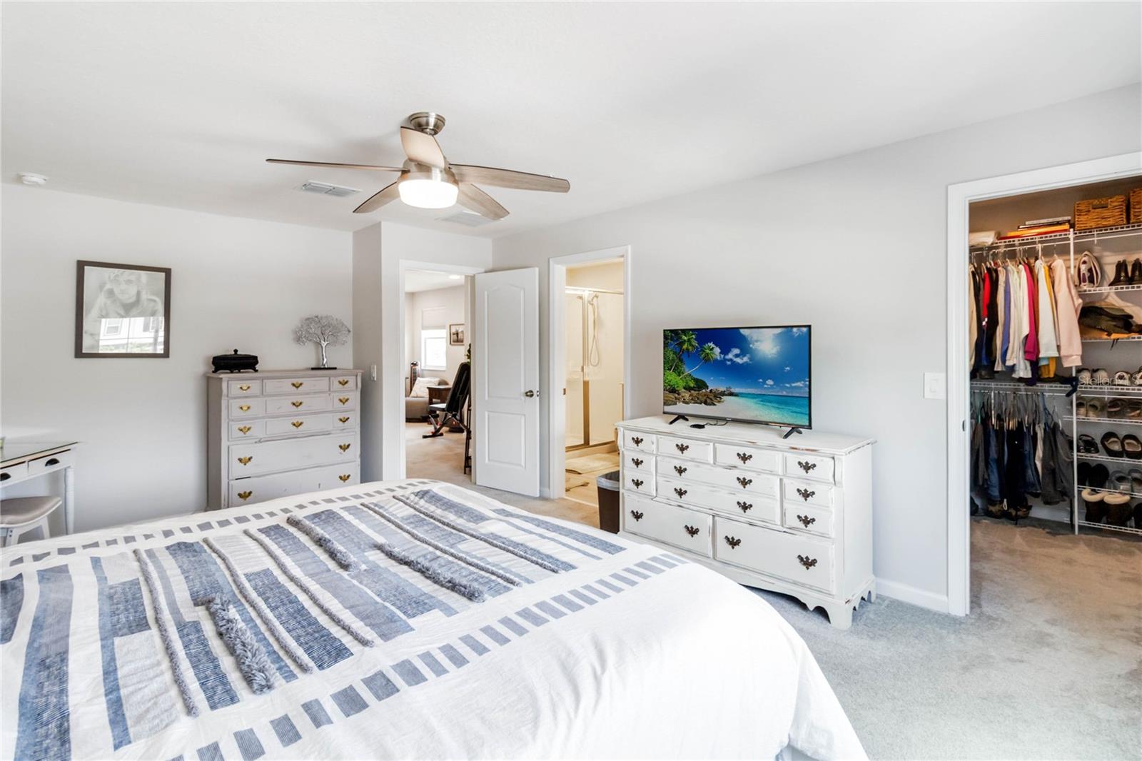 378 CAPE HONEYSUCKLE PL