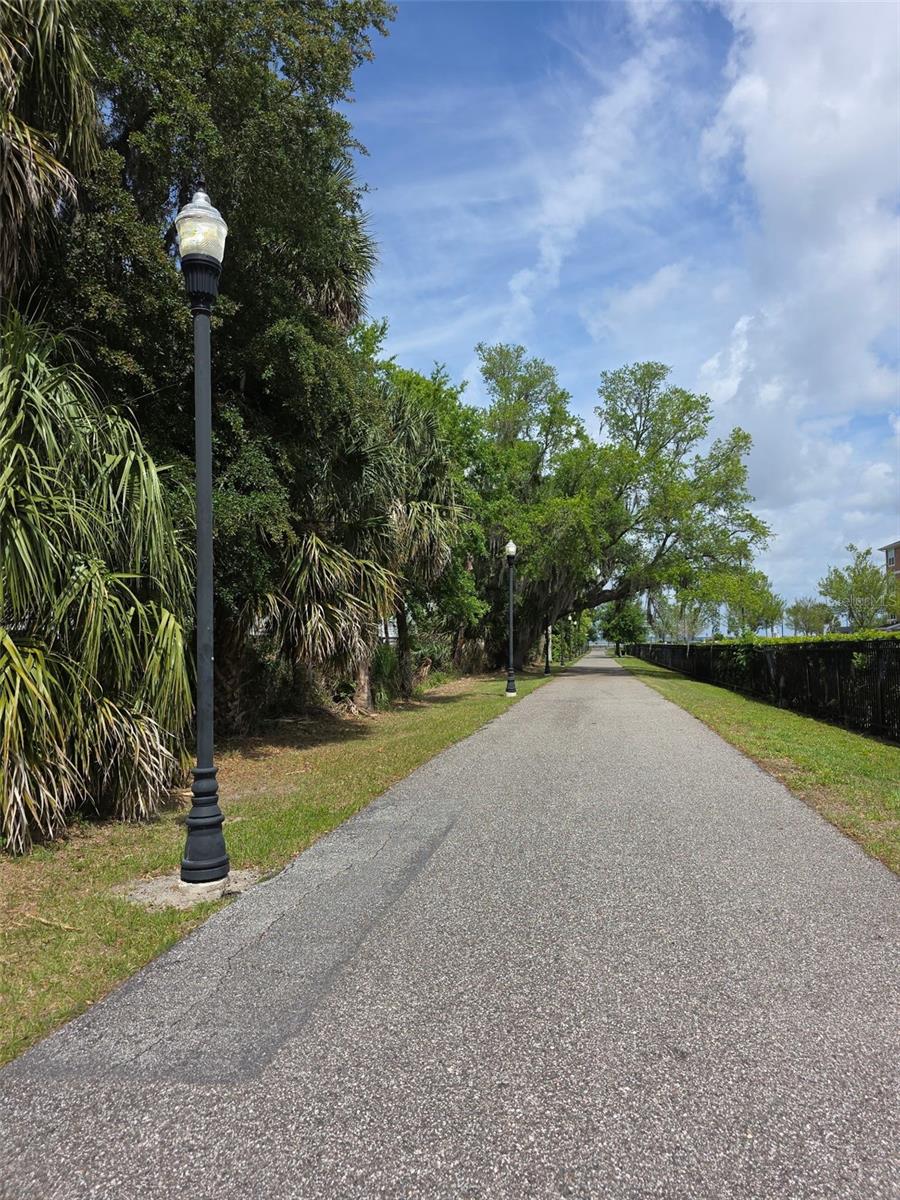 378 CAPE HONEYSUCKLE PL