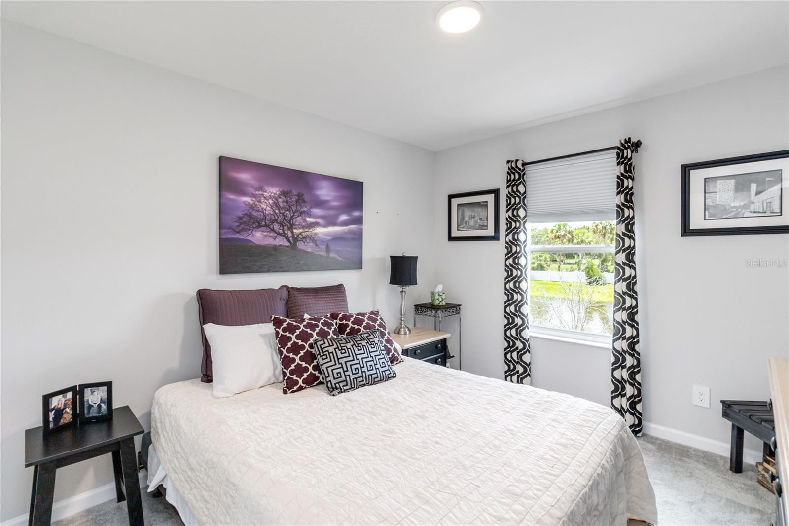 378 CAPE HONEYSUCKLE PL