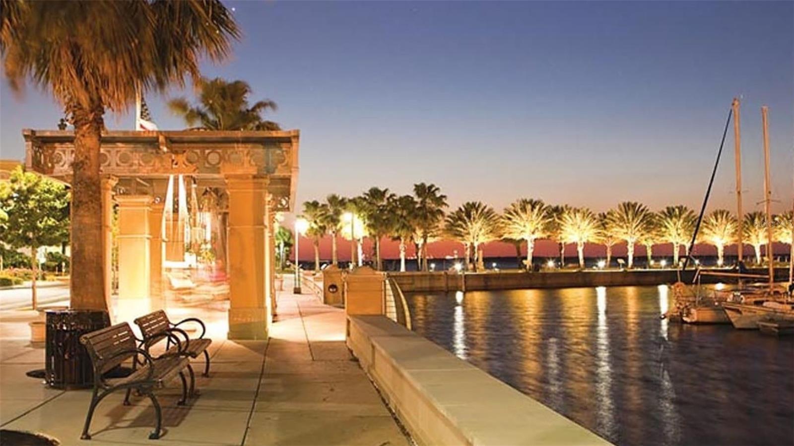 378 CAPE HONEYSUCKLE PL