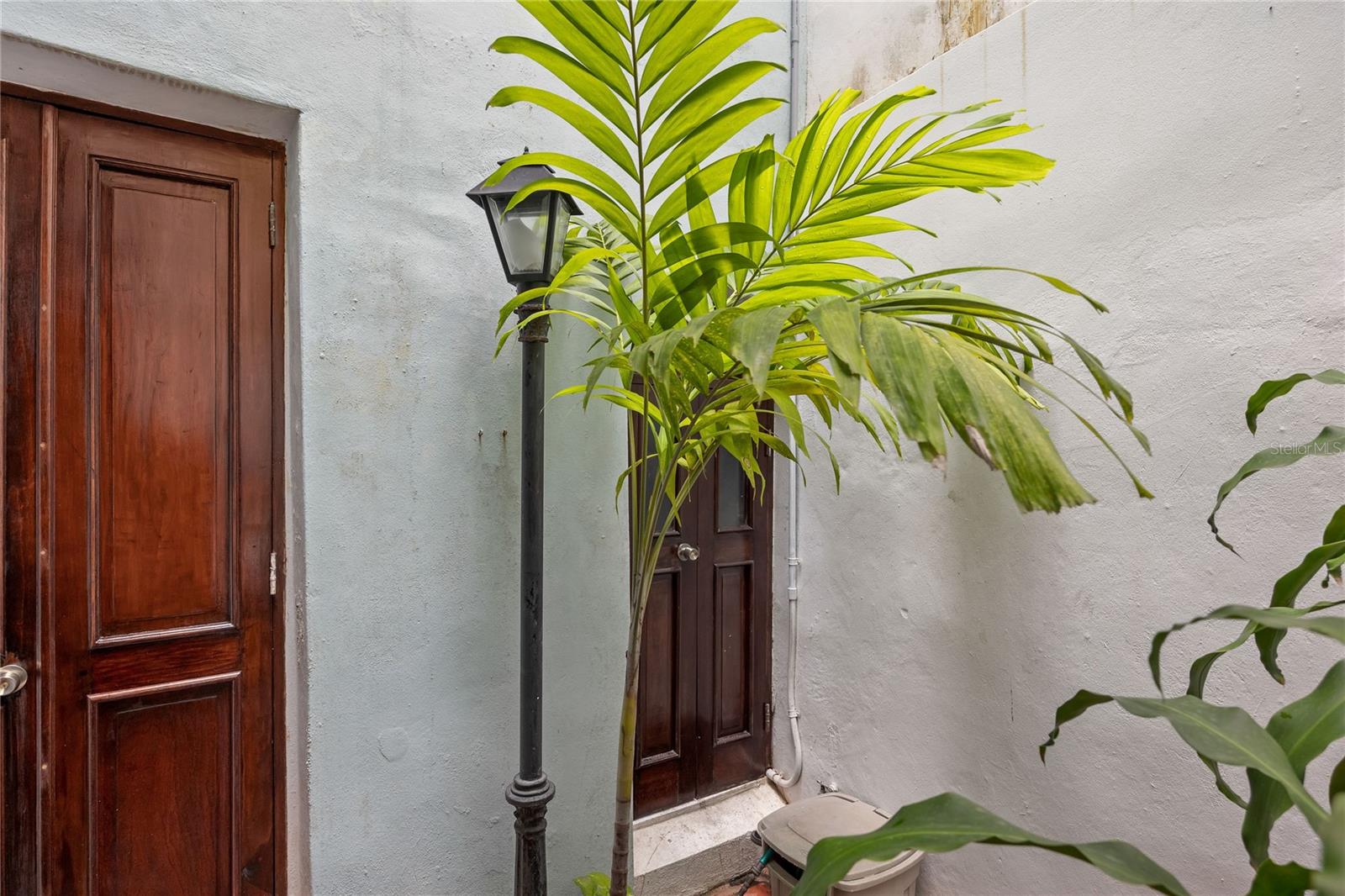 55 CALETA SAN JUAN