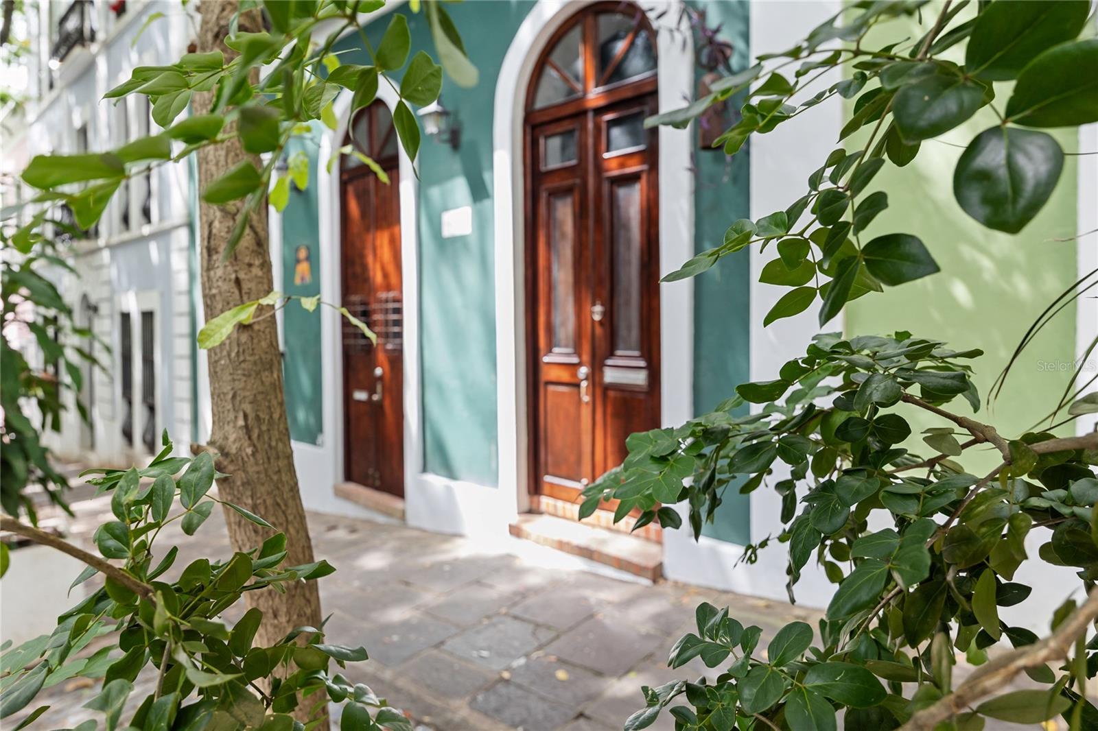 55 CALETA SAN JUAN