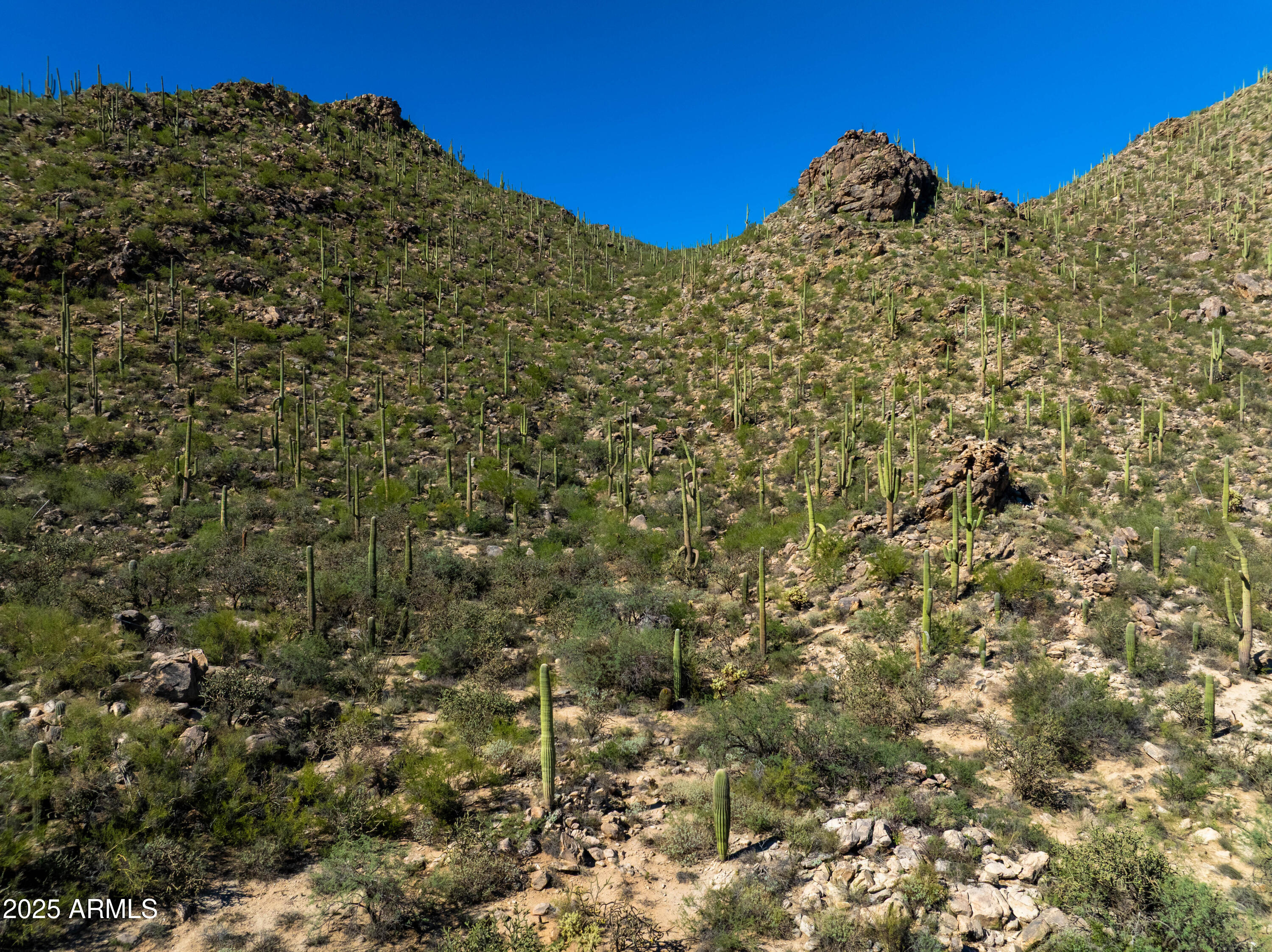 14460 N Old Ranch Road 1