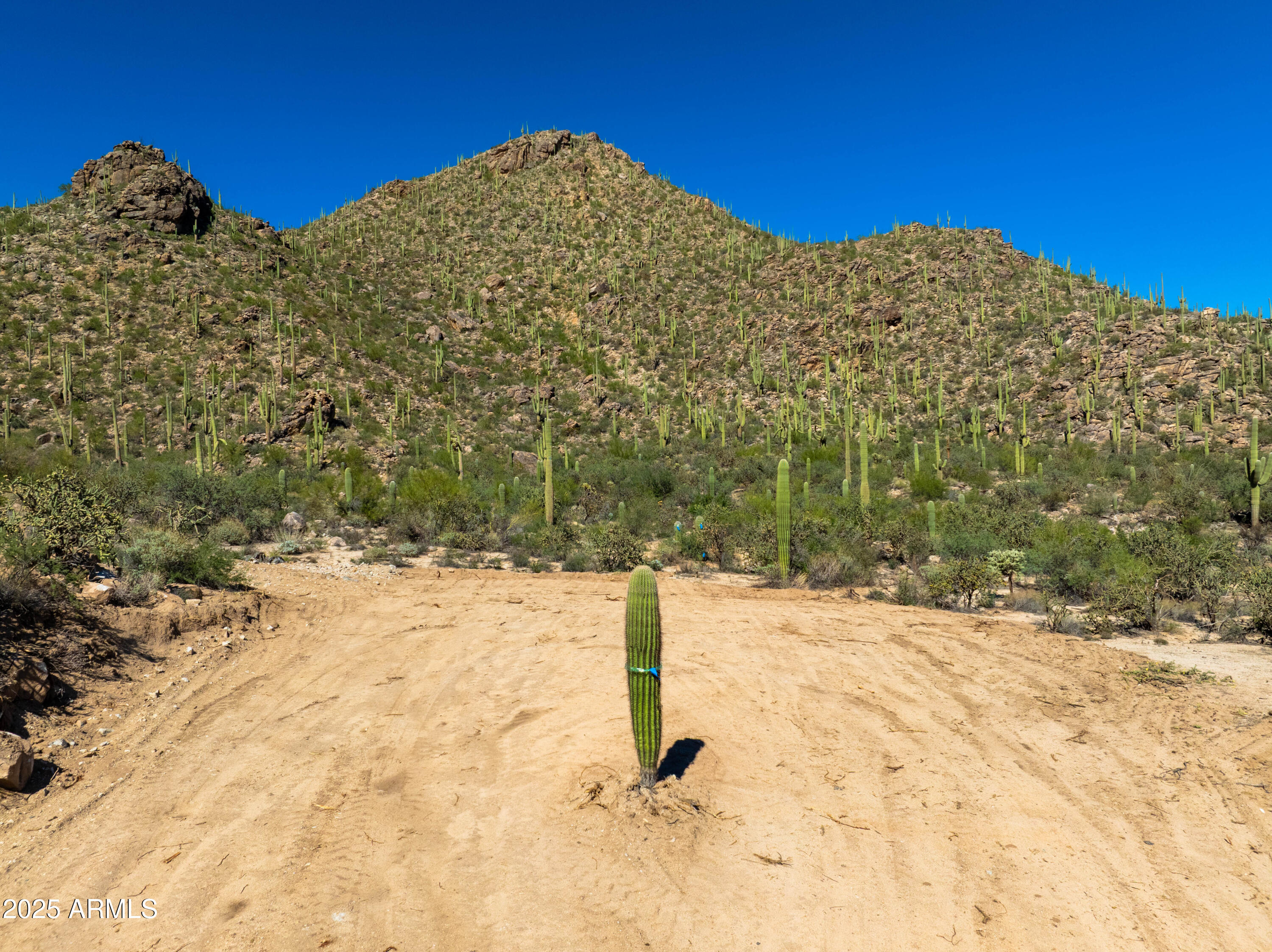 14460 N Old Ranch Road 1