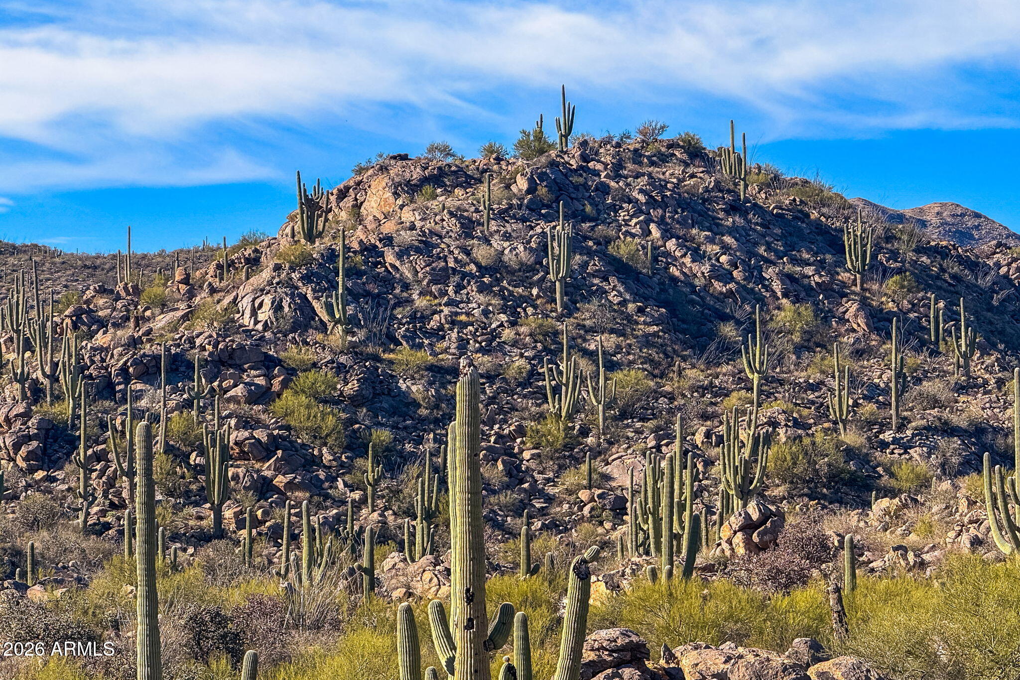 1313 W TORTOLITA MOUNTAIN Circle