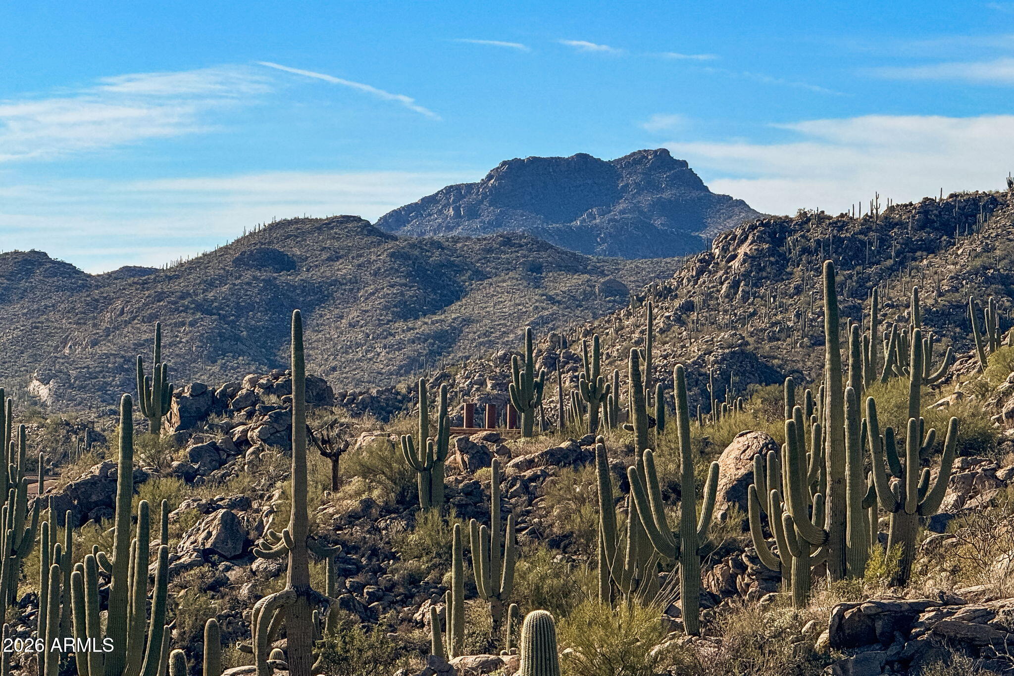 1313 W TORTOLITA MOUNTAIN Circle