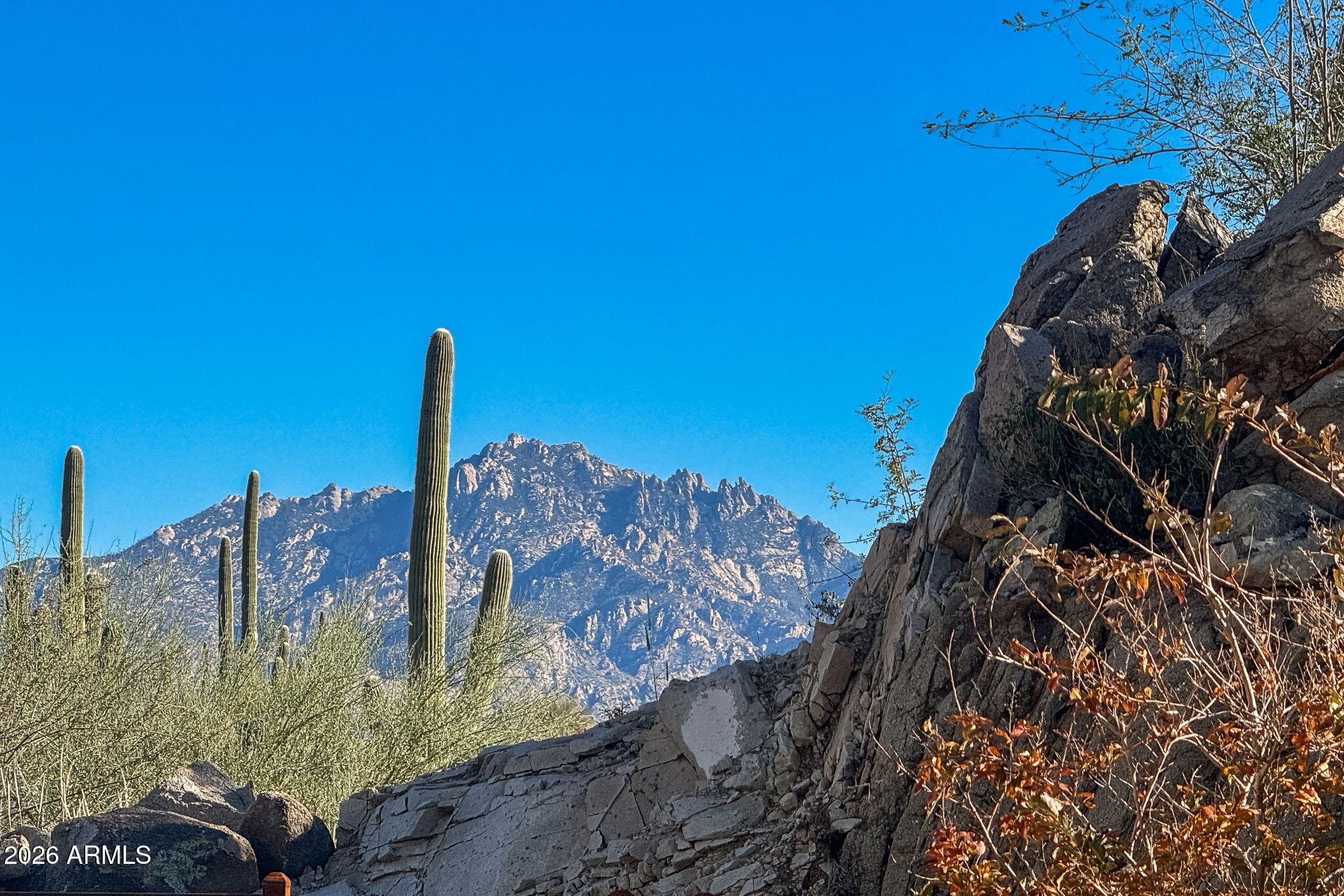 1313 W TORTOLITA MOUNTAIN Circle