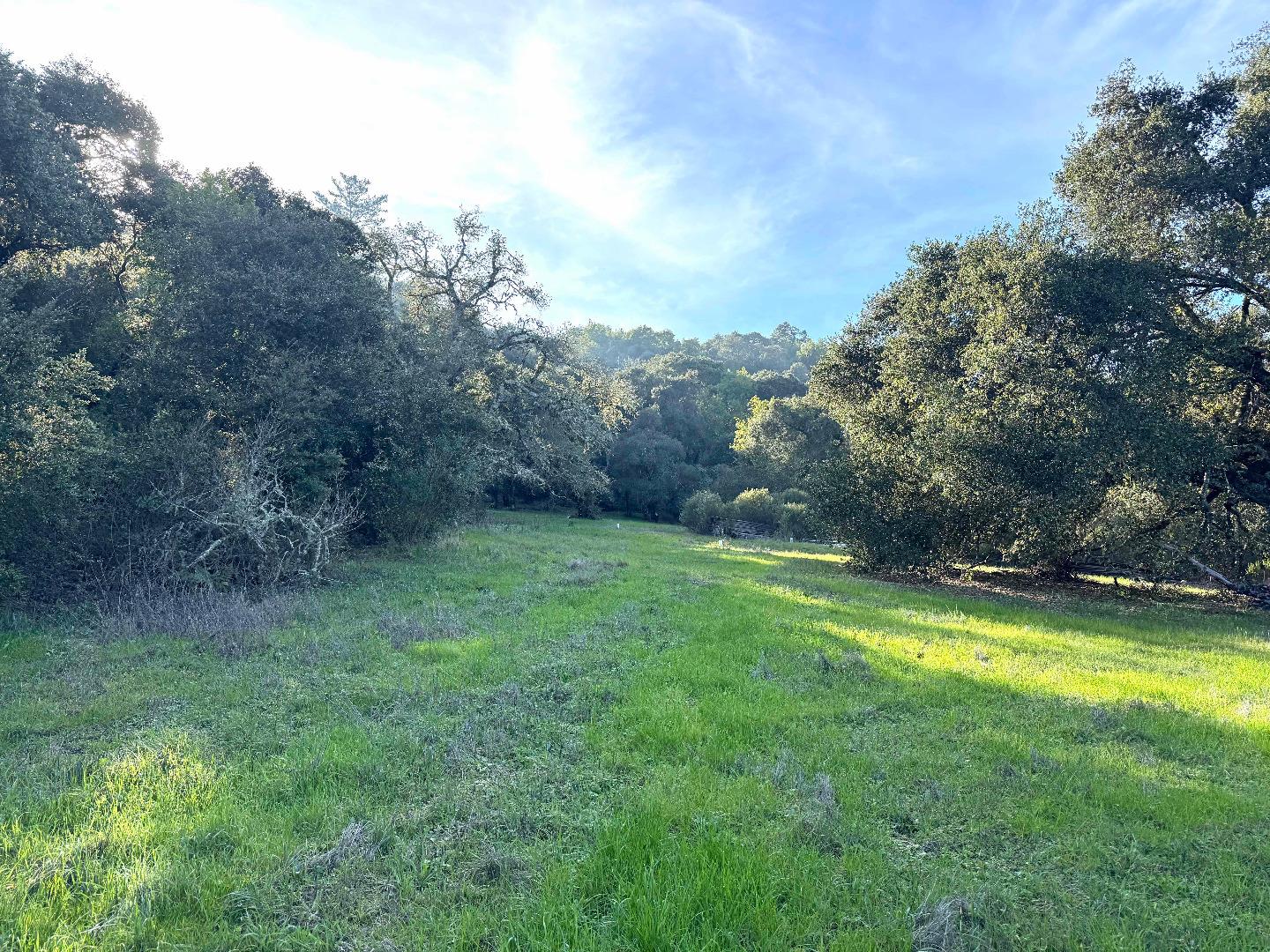 Grassy meadow bordered by mature trees and woodland.
