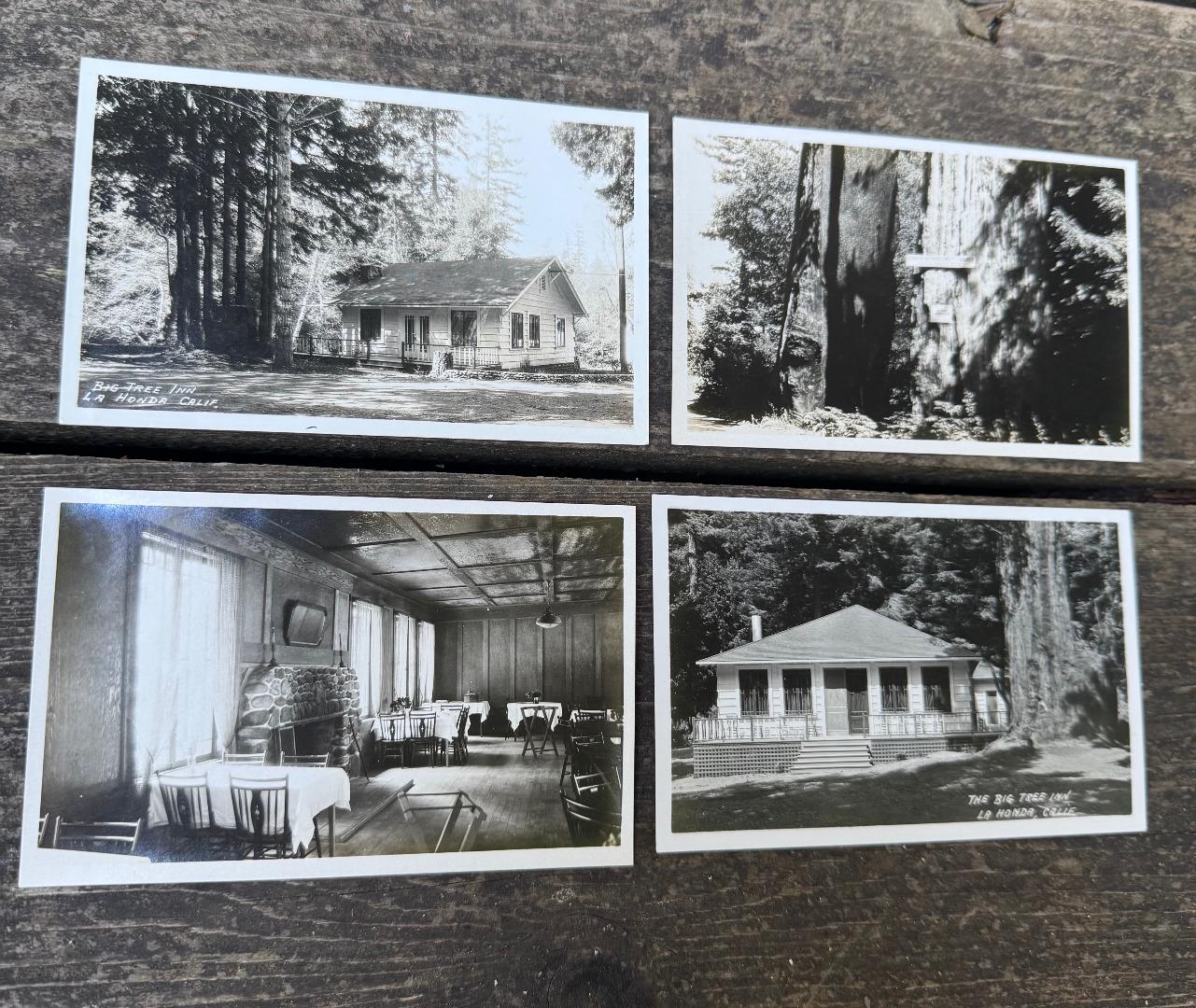 Four vintage photos show the Big Tree Inn, its dining room, and a sign among tall trees.
